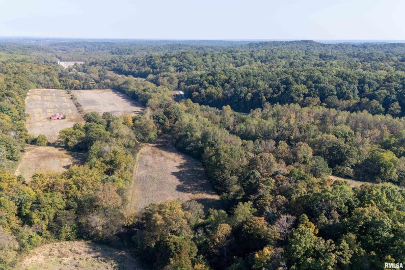 19168 COUNTY LINE Road, Jonesboro, Illinois 62952, 2 Bedrooms Bedrooms, 0 ,0,Land,For Sale,COUNTY LINE,0,RMAEB460301