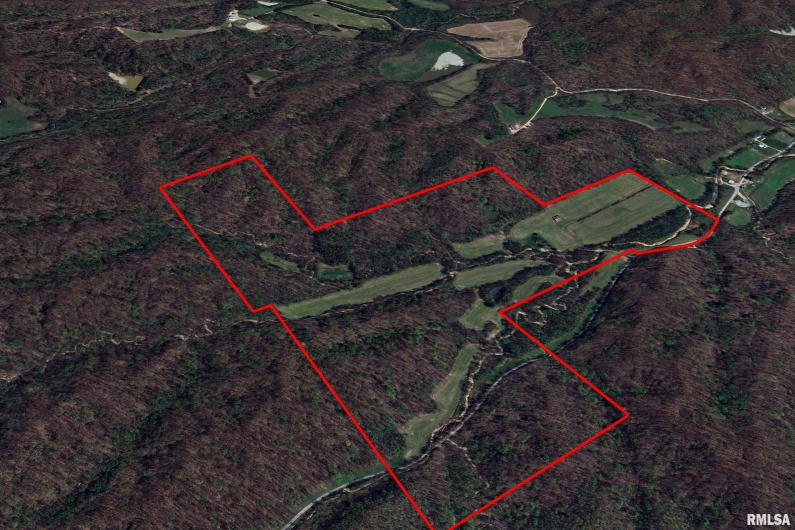 19168 COUNTY LINE Road, Jonesboro, Illinois 62952, 2 Bedrooms Bedrooms, 0 ,0,Land,For Sale,COUNTY LINE,0,RMAEB460301