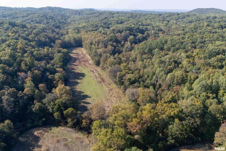 19168 COUNTY LINE Road, Jonesboro, Illinois 62952, 2 Bedrooms Bedrooms, 0 ,0,Land,For Sale,COUNTY LINE,0,RMAEB460301