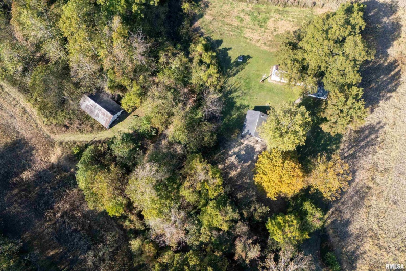 19168 COUNTY LINE Road, Jonesboro, Illinois 62952, 2 Bedrooms Bedrooms, 0 ,0,Land,For Sale,COUNTY LINE,0,RMAEB460301