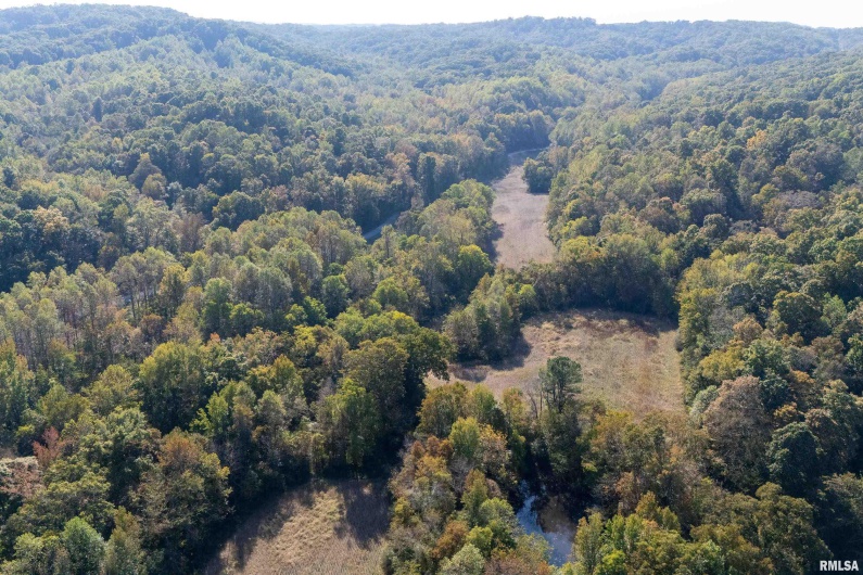 19168 COUNTY LINE Road, Jonesboro, Illinois 62952, 2 Bedrooms Bedrooms, 0 ,0,Land,For Sale,COUNTY LINE,0,RMAEB460301