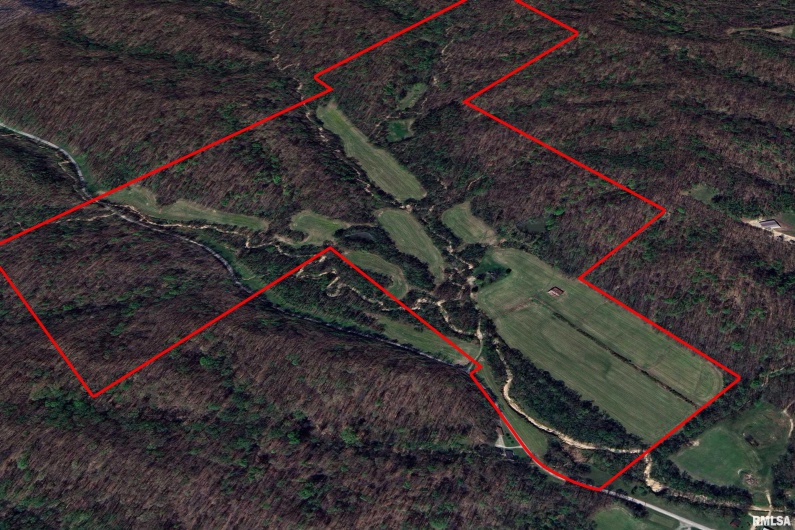 19168 COUNTY LINE Road, Jonesboro, Illinois 62952, 2 Bedrooms Bedrooms, 0 ,0,Land,For Sale,COUNTY LINE,0,RMAEB460301