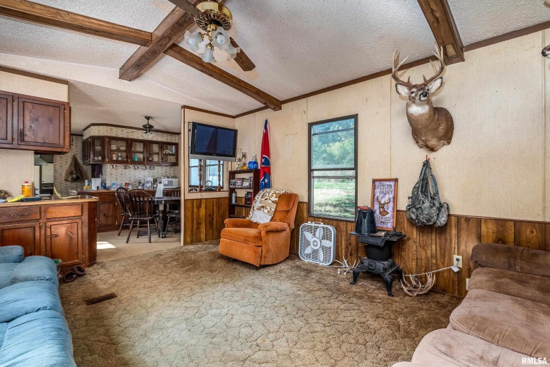 19168 COUNTY LINE Road, Jonesboro, Illinois 62952, 2 Bedrooms Bedrooms, 0 ,0,Land,For Sale,COUNTY LINE,0,RMAEB460301