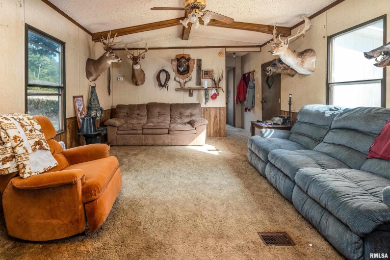 19168 COUNTY LINE Road, Jonesboro, Illinois 62952, 2 Bedrooms Bedrooms, 0 ,0,Land,For Sale,COUNTY LINE,0,RMAEB460301