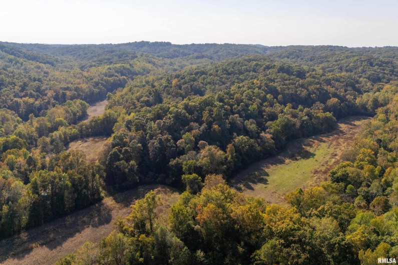 19168 COUNTY LINE Road, Jonesboro, Illinois 62952, 2 Bedrooms Bedrooms, 0 ,0,Land,For Sale,COUNTY LINE,0,RMAEB460301