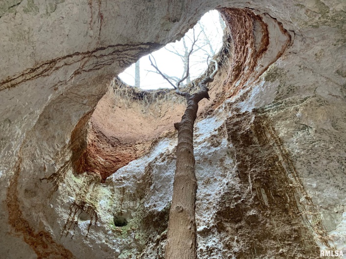 19168 COUNTY LINE Road, Jonesboro, Illinois 62952, 2 Bedrooms Bedrooms, 0 ,0,Land,For Sale,COUNTY LINE,0,RMAEB460301