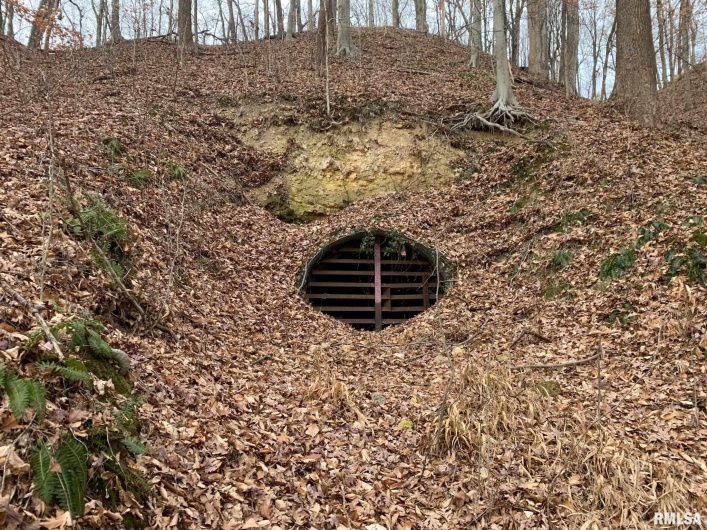 19168 COUNTY LINE Road, Jonesboro, Illinois 62952, 2 Bedrooms Bedrooms, 0 ,0,Land,For Sale,COUNTY LINE,0,RMAEB460301