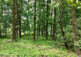 TBD EASTLAND Road, Marion, Illinois 62959, 0 , 0 ,0,Land,For Sale,EASTLAND,0,RMAEB460303 TBD EASTLAND Road, Marion, Illinois 62959, 0 , 0 ,0,Land,For Sale,EASTLAND,0,RMAEB460303