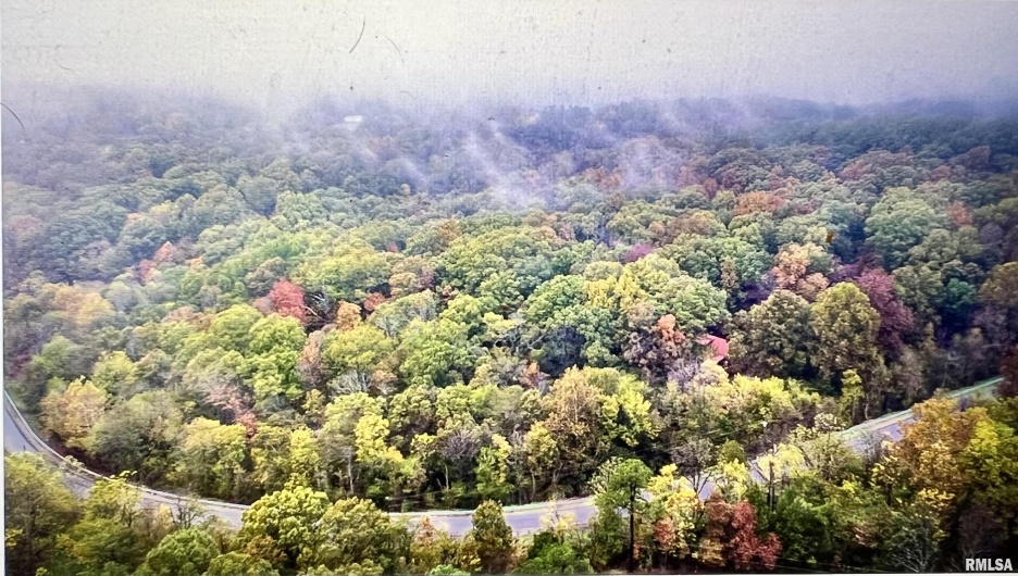 275 Yellow Springs Drive, Elizabethtown, Illinois 62931, 2 Bedrooms Bedrooms, 0 ,1 BathroomBathrooms,Residential,For Sale,Yellow Springs,0,RMAQC4268852