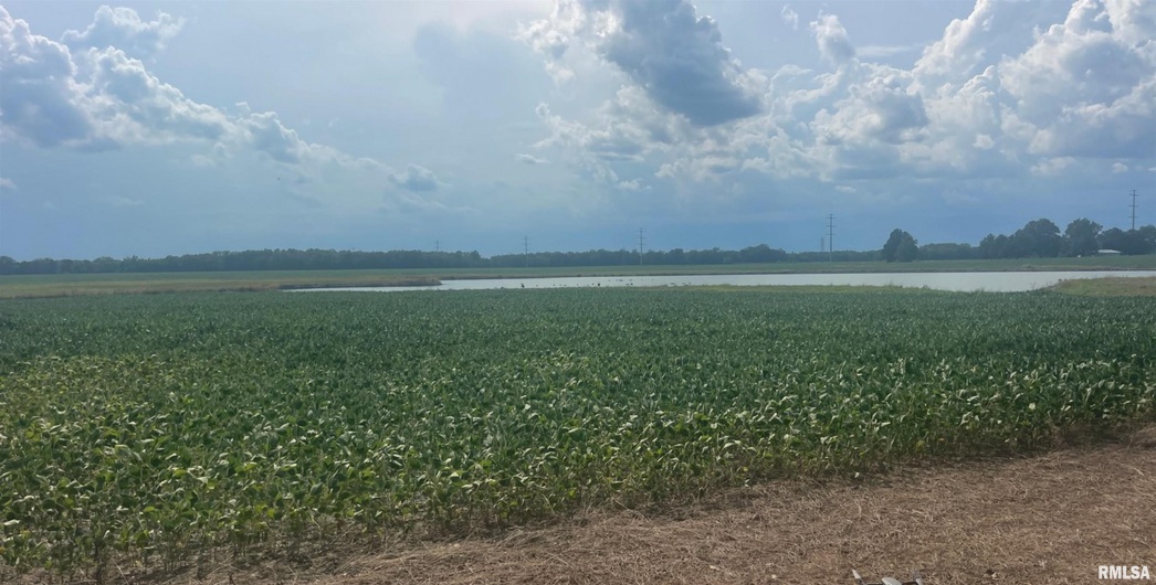 0000 PARK Avenue, Herrin, Illinois 62948, 0 , 0 ,0,Land,For Sale,PARK,0,RMAEB460311