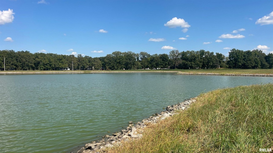 0000 PARK Avenue, Herrin, Illinois 62948, 0 , 0 ,0,Land,For Sale,PARK,0,RMAEB460311
