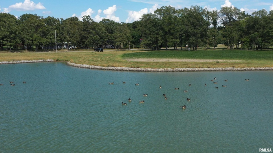 0000 PARK Avenue, Herrin, Illinois 62948, 0 , 0 ,0,Land,For Sale,PARK,0,RMAEB460311