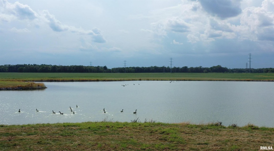 0000 PARK Avenue, Herrin, Illinois 62948, 0 , 0 ,0,Land,For Sale,PARK,0,RMAEB460311