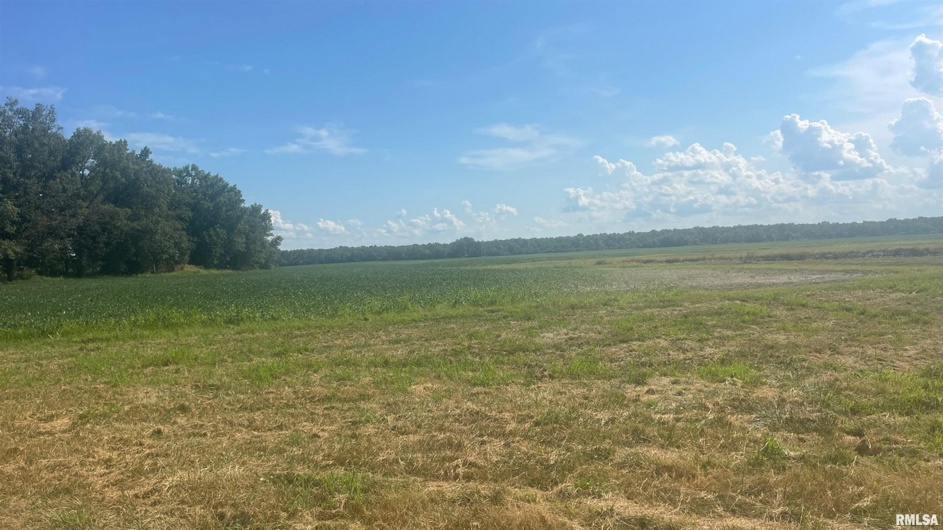 0000 PARK Avenue, Herrin, Illinois 62948, 0 , 0 ,0,Land,For Sale,PARK,0,RMAEB460311