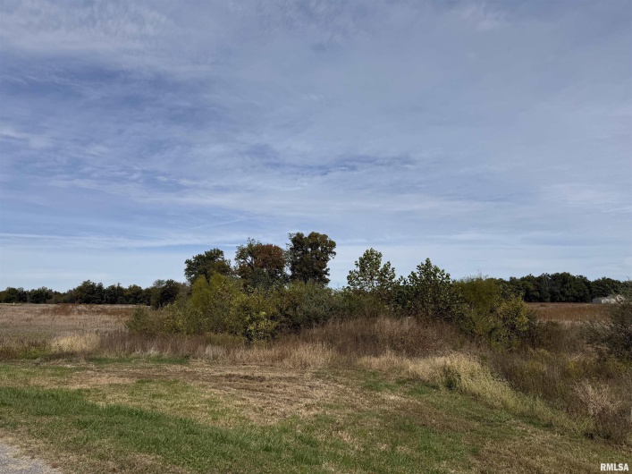 tbd MARKET Street, Marion, Illinois 62959, 0 , 0 ,0,Commercial Sale,For Sale,MARKET,0,RMAEB460313