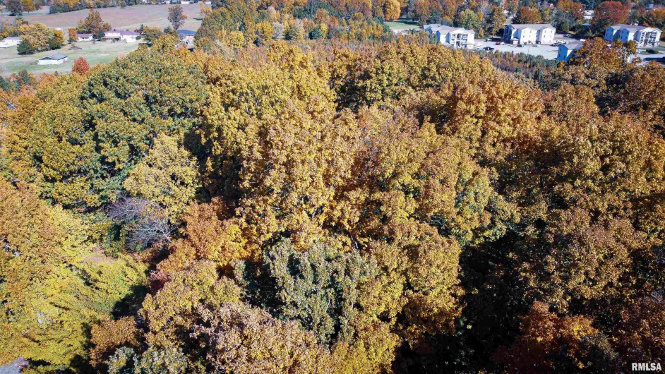 TBD A PIN OAK Street, Carterville, Illinois 62918, 0 , 0 ,0,Land,For Sale,PIN OAK,0,RMAQC4268894