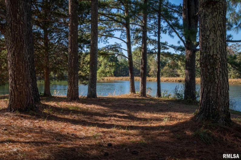 2145 Lick Creek Road, Anna, Illinois 62906, 3 Bedrooms Bedrooms, 0 ,3 BathroomsBathrooms,Residential,For Sale,Lick Creek,0,RMAEB460317