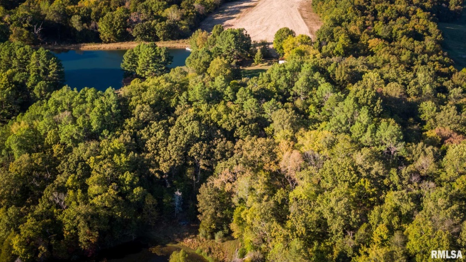 2145 Lick Creek Road, Anna, Illinois 62906, 3 Bedrooms Bedrooms, 0 ,3 BathroomsBathrooms,Residential,For Sale,Lick Creek,0,RMAEB460317