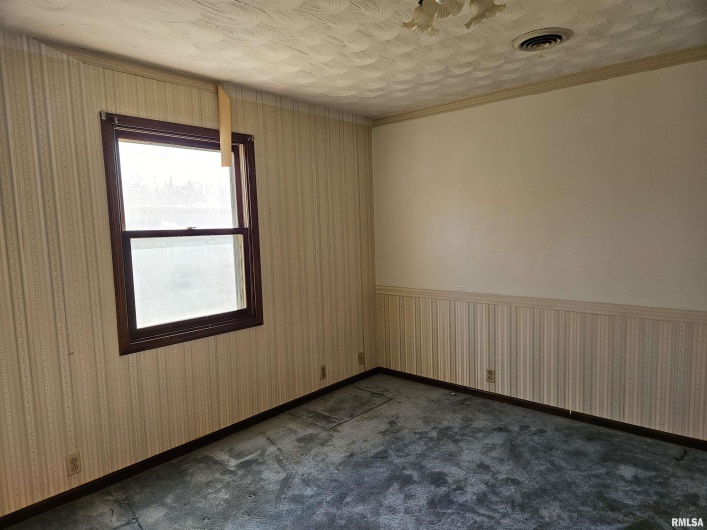 196 APPLE Lane, Carbondale, Illinois 62901, 4 Bedrooms Bedrooms, 0 ,2 BathroomsBathrooms,Residential,For Sale,APPLE,0,RMAEB457071