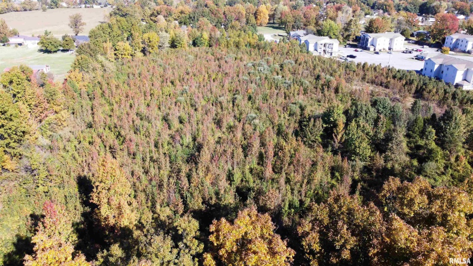 TBD Conestoga Trail, Carterville, Illinois 62918, 0 , 0 ,0,Land,For Sale,Conestoga,0,RMAQC4268916