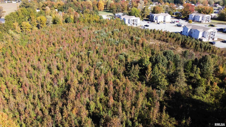 TBD A Conestoga Trail, Carterville, Illinois 62918, 0 , 0 ,0,Land,For Sale,Conestoga,0,RMAQC4268918