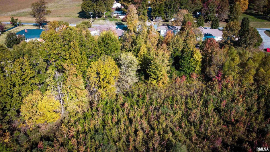 TBD A Conestoga Trail, Carterville, Illinois 62918, 0 , 0 ,0,Land,For Sale,Conestoga,0,RMAQC4268918