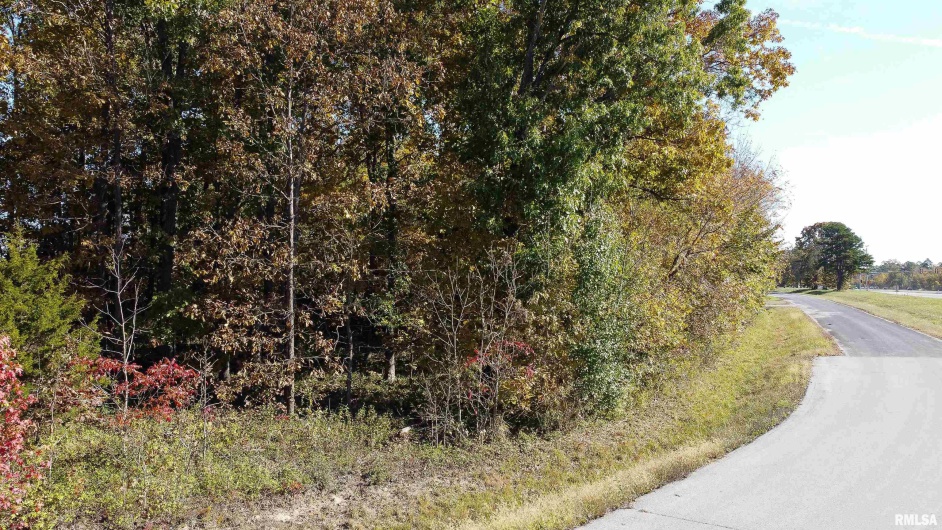 TBD A Conestoga Trail, Carterville, Illinois 62918, 0 , 0 ,0,Land,For Sale,Conestoga,0,RMAQC4268918