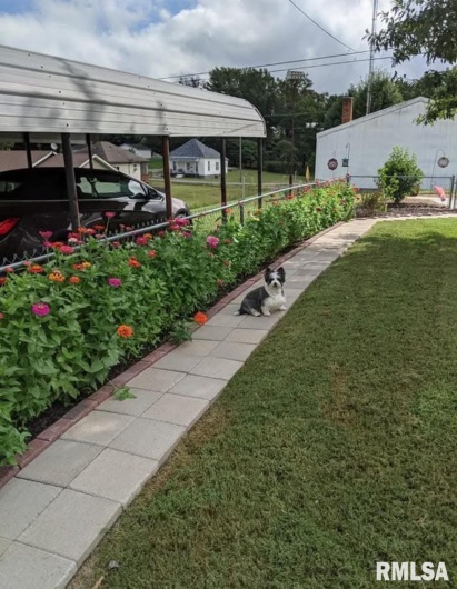 1207 BURGESS Street, Johnston City, Illinois 62951, 3 Bedrooms Bedrooms, 0 ,1 BathroomBathrooms,Residential,For Sale,BURGESS,0,RMAEB460323