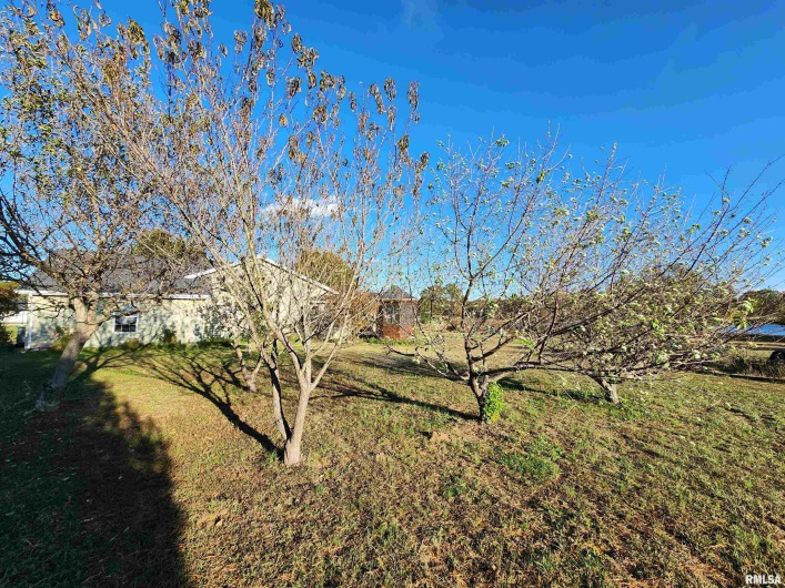 156 HANOVER Lane, Murphysboro, Illinois 62966, 3 Bedrooms Bedrooms, 0 ,2 BathroomsBathrooms,Residential,For Sale,HANOVER,0,RMAEB460283