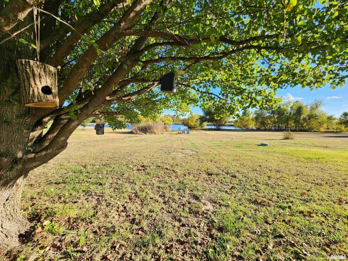 156 HANOVER Lane, Murphysboro, Illinois 62966, 3 Bedrooms Bedrooms, 0 ,2 BathroomsBathrooms,Residential,For Sale,HANOVER,0,RMAEB460283