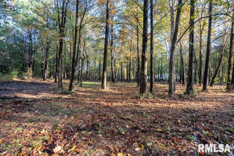 0000 Baptist Camp Road, Carterville, Illinois 62918, 0 , 0 ,0,Land,For Sale,Baptist Camp,0,RMAQC4268993