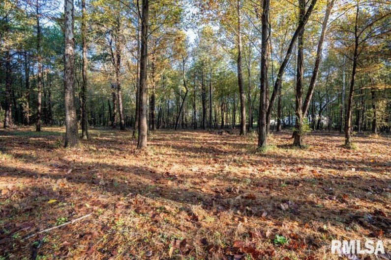 0000 Baptist Camp Road, Carterville, Illinois 62918, 0 , 0 ,0,Land,For Sale,Baptist Camp,0,RMAQC4268993