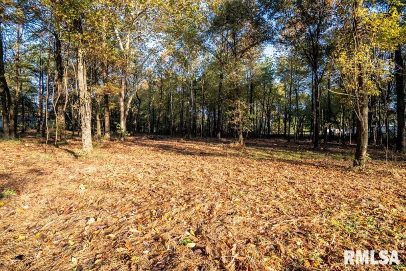 0000 Baptist Camp Road, Carterville, Illinois 62918, 0 , 0 ,0,Land,For Sale,Baptist Camp,0,RMAQC4268993