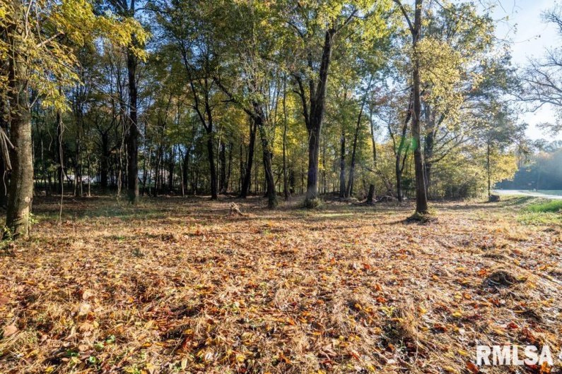 0000 Baptist Camp Road, Carterville, Illinois 62918, 0 , 0 ,0,Land,For Sale,Baptist Camp,0,RMAQC4268993