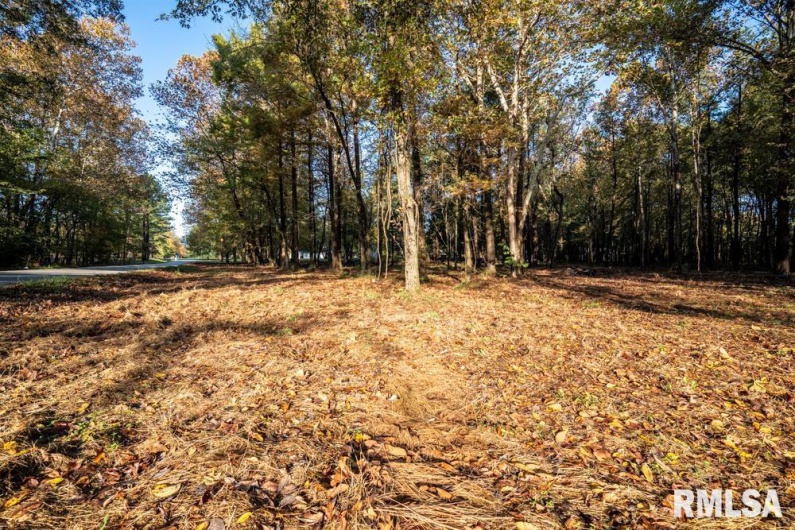 0000 Baptist Camp Road, Carterville, Illinois 62918, 0 , 0 ,0,Land,For Sale,Baptist Camp,0,RMAQC4268993