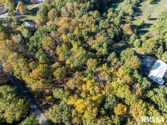 0000 Baptist Camp Road, Carterville, Illinois 62918, 0 , 0 ,0,Land,For Sale,Baptist Camp,0,RMAQC4268993