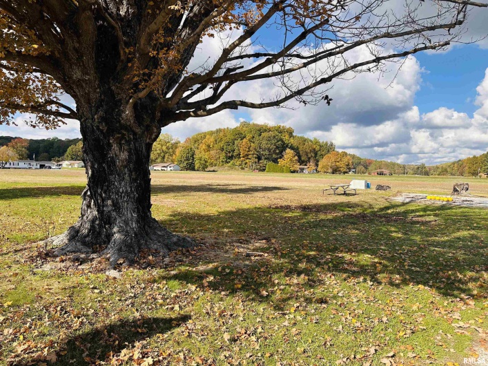 18564 Old Diswood Road, Tamms, Illinois 62988, 0 , 0 ,0,Land,For Sale,Old Diswood,0,RMAQC4269025