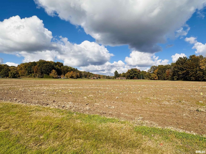 18564 Old Diswood Road, Tamms, Illinois 62988, 0 , 0 ,0,Land,For Sale,Old Diswood,0,RMAQC4269025
