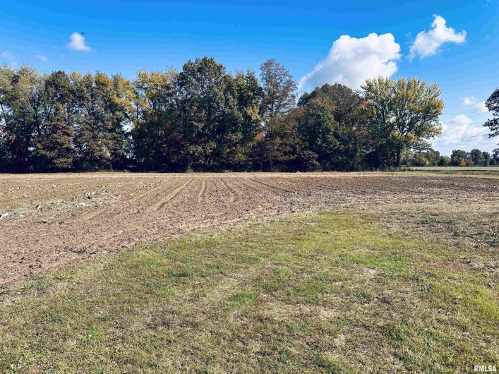18564 Old Diswood Road, Tamms, Illinois 62988, 0 , 0 ,0,Land,For Sale,Old Diswood,0,RMAQC4269025