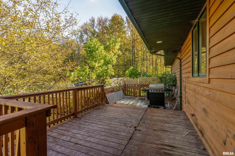 125 Princess Lane, Carbondale, Illinois 62901, 5 Bedrooms Bedrooms, 0 ,4 BathroomsBathrooms,Residential,For Sale,Princess,0,RMAEB460361