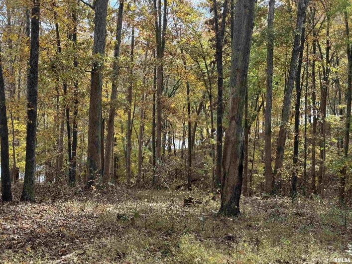 130 Rocky Point, Goreville, Illinois 62946, 0 , 0 ,0,Land,For Sale,Rocky,0,RMAQC4269071