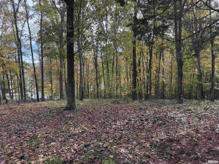 130 Rocky Point, Goreville, Illinois 62946, 0 , 0 ,0,Land,For Sale,Rocky,0,RMAQC4269071