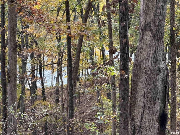 130 Rocky Point, Goreville, Illinois 62946, 0 , 0 ,0,Land,For Sale,Rocky,0,RMAQC4269071