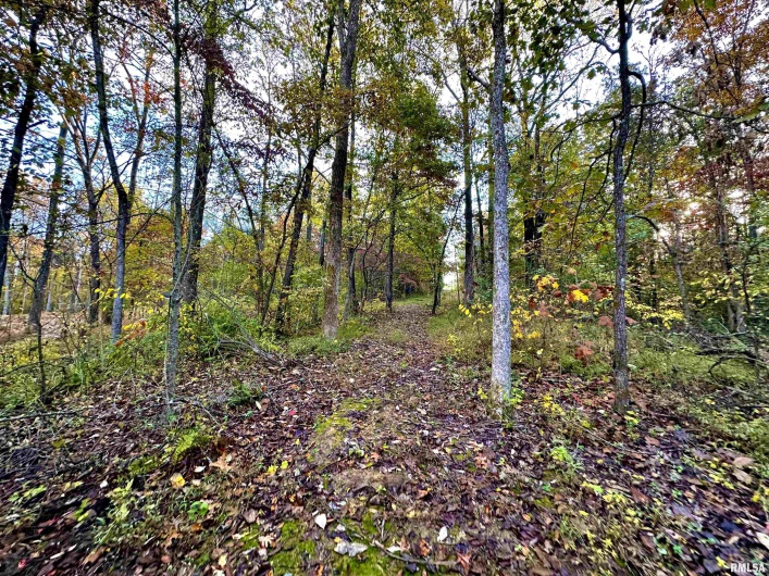 718 Karbers Ridge Road, Elizabethtown, Illinois 62931, 4 Bedrooms Bedrooms, 0 ,2 BathroomsBathrooms,Residential,For Sale,Karbers Ridge,0,RMAEB460367