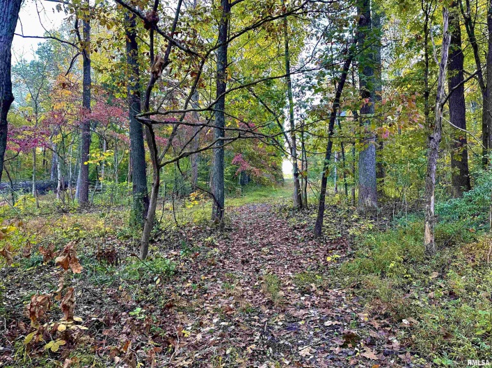 718 Karbers Ridge Road, Elizabethtown, Illinois 62931, 4 Bedrooms Bedrooms, 0 ,2 BathroomsBathrooms,Residential,For Sale,Karbers Ridge,0,RMAEB460367