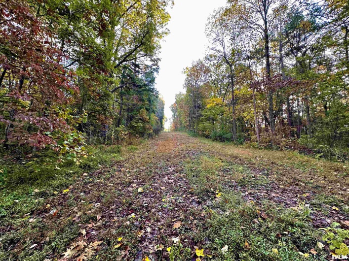 718 Karbers Ridge Road, Elizabethtown, Illinois 62931, 4 Bedrooms Bedrooms, 0 ,2 BathroomsBathrooms,Residential,For Sale,Karbers Ridge,0,RMAEB460367