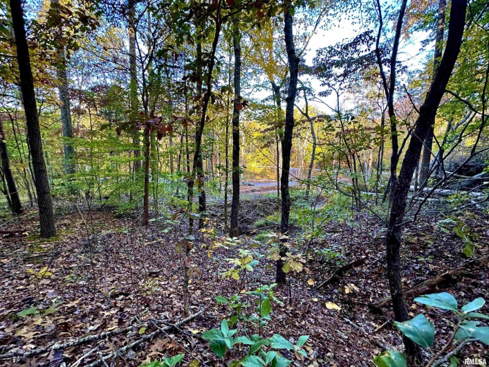 718 Karbers Ridge Road, Elizabethtown, Illinois 62931, 4 Bedrooms Bedrooms, 0 ,2 BathroomsBathrooms,Residential,For Sale,Karbers Ridge,0,RMAEB460367