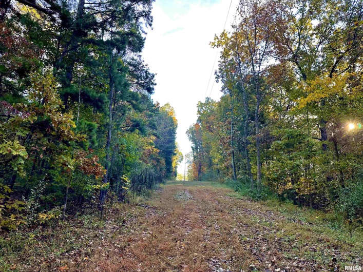 718 Karbers Ridge Road, Elizabethtown, Illinois 62931, 4 Bedrooms Bedrooms, 0 ,2 BathroomsBathrooms,Residential,For Sale,Karbers Ridge,0,RMAEB460367