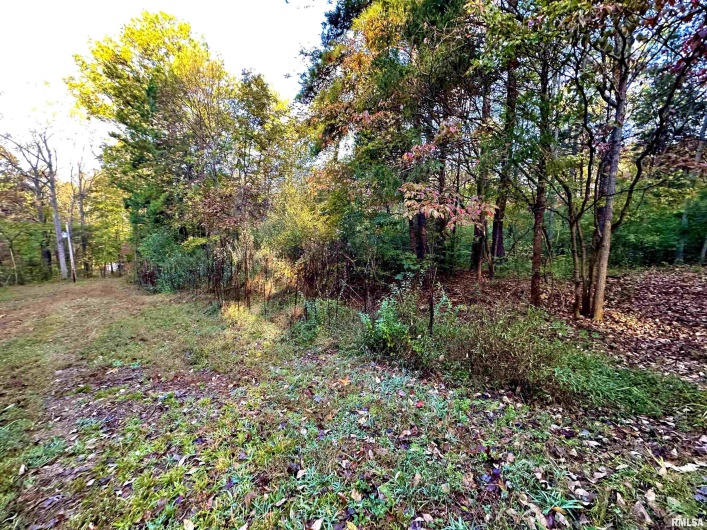 718 Karbers Ridge Road, Elizabethtown, Illinois 62931, 4 Bedrooms Bedrooms, 0 ,2 BathroomsBathrooms,Residential,For Sale,Karbers Ridge,0,RMAEB460367