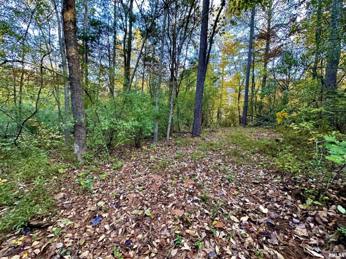 718 Karbers Ridge Road, Elizabethtown, Illinois 62931, 4 Bedrooms Bedrooms, 0 ,2 BathroomsBathrooms,Residential,For Sale,Karbers Ridge,0,RMAEB460367